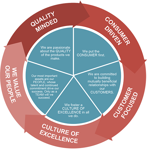 Microsoft PowerPoint - Core Values Diagram v2